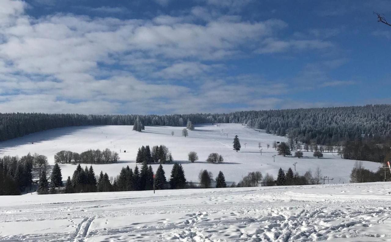 Apartman Nove Hute Sumava エクステリア 写真