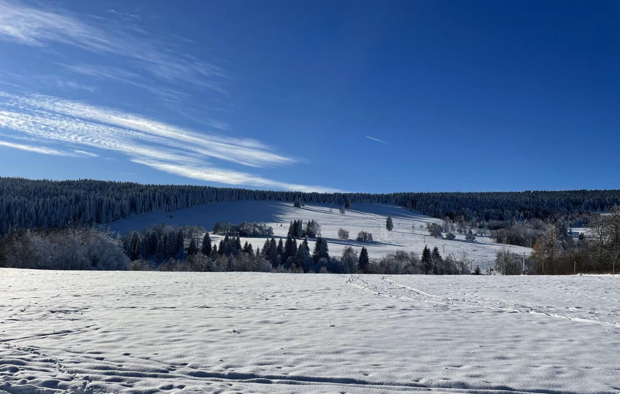 Apartman Nove Hute Sumava エクステリア 写真
